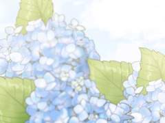 푸른 수국 아래에는 __가 있다.