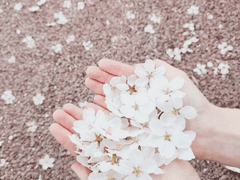 잘생겼구나...폐위된 내남편