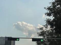 이 연애를 반대합니다