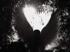 Invece della porta del paradiso, strofina gli occhi sotto la luce della strada.