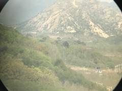 한 나라의 정서는 최근에 겪은 전쟁의 영향을 받는다