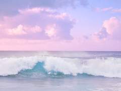 길규님 커미션 신청서