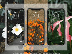 [배경화면] Floral Autumn SET