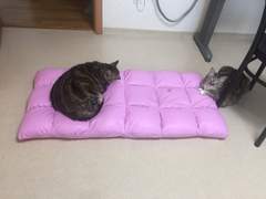 이동헌의 사주 강의 상/겁재/편관/인성