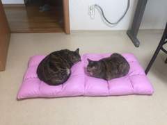 이동헌의 사주 강의 상 - 계수 일간/천간 글자 여러개