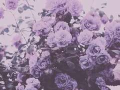 응결, 다시 그려지는 윤슬