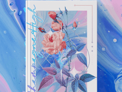 [명헌우성] 샴페인 하이(Champagne High)