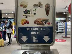 11월 8일) 호주, 케언즈의 첫 날