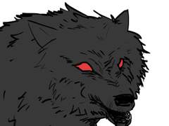 늑대는 개가 될 수 없다.