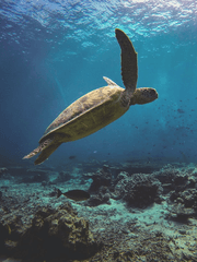 취미활동 기록하기