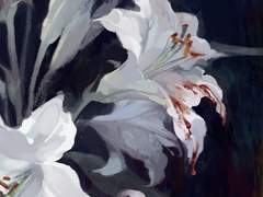 리미널 스페이스⁴