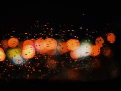 [조로산] Marquee Moon