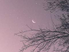 너는 달빛을 쫓아서