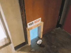 누이파페 와글와글 - (3)