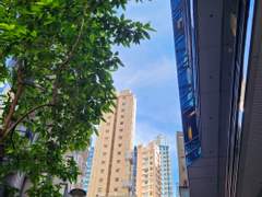 안녕, 낯선 사람 1