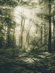 전독시 잔혹동화 모음