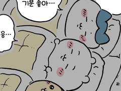 개인 사주 풀이 신청은 여기로