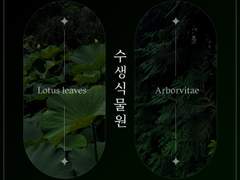 Wallpaper_수생식물원