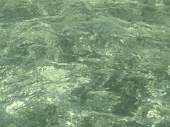 나는야 홍일점!