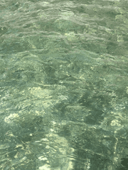 특 (나는야 홍일점!) 별