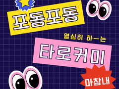 포동포동한 타로커미션