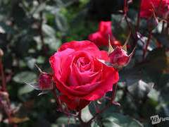 무엇이 그녀를 움직이게 하는가!