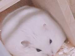 나와 만두와 밀웜 이야기