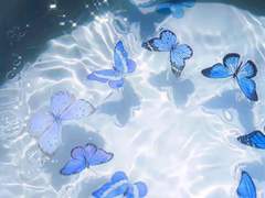 𝑺𝒑𝒓𝒊𝒏𝒈 𝒇𝒓𝒐𝒔𝒕