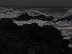 파라다이스 외전