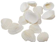 완벽을 강요하지 말라.