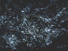 상어 공작님 -1-