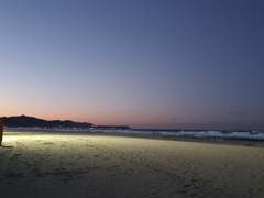 [신카이] 평화와 행복