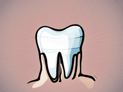 이상한 나라의 송곳니