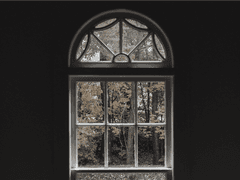 나는 왜 죽음보다 삶을 더 좋아하는가?