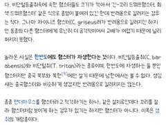 손글씨폰트 TEA말차라떼 기본+볼드+기울기