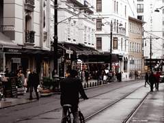 체중감량 일주일 식단을 짜 드립니다