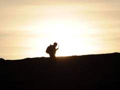 막막한 MZ 인생길, 신이 내린 길은 있었네