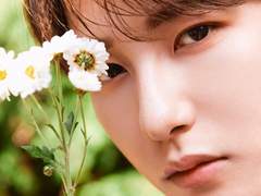 여우에게 홀려버렸다