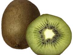 너 혹시 키위야?