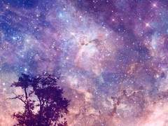 [진국 슈짐] The Astronaut _상