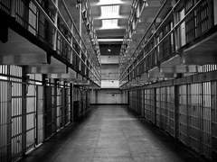 제럴딘 메리엇 31