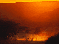 음란한 호랑신과 서방님. 005화