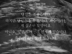 잊혀진 도라지족의 커미션