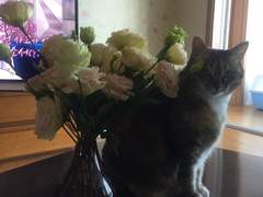 ADHD 직장생활 -직장생활의 실패는 내 인격의 전부의 실패가 아니다