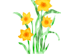 [청명소병]쓸모없는 가이드10