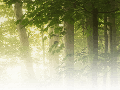 02. 삶은 곧 경쟁이며, 지성이…