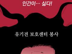 11화 유기견 보호소