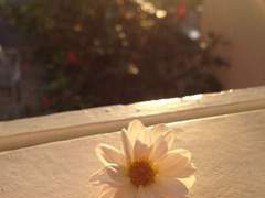 노을빛 스며드는 순간