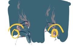 저는 죽음이 너무나 가깝게 느껴집니다