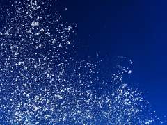 츠츠미 토미와 수상한 실험체